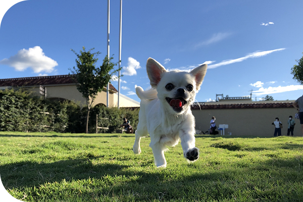 採用案内 イメージ